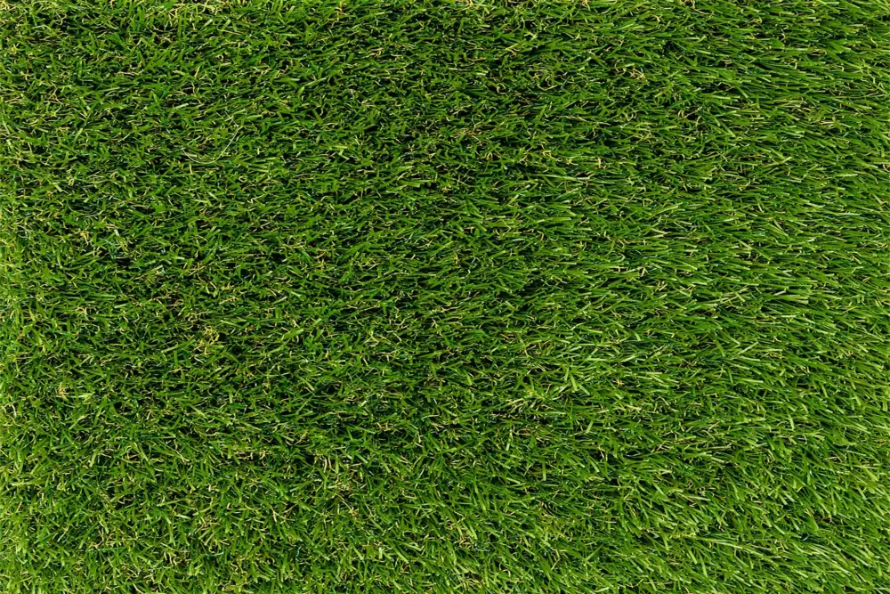 Practic 35 – Césped artificial básico 35mm - Imagen 4